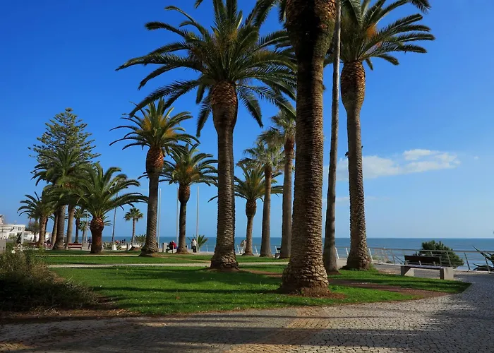 T1 - Miramar 3p Apartment