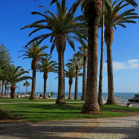 T1 - Miramar 3p 公寓